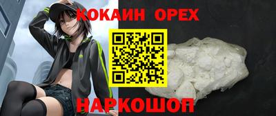 гашик Можга