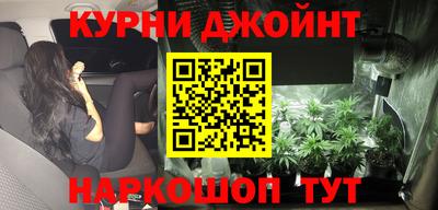 гашик Можга