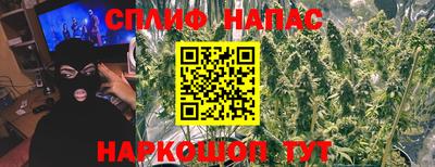 гашик Можга