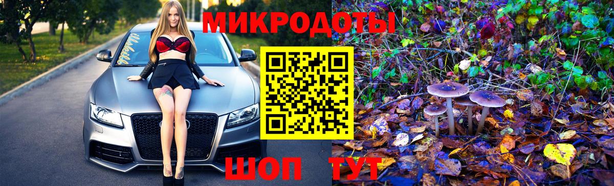 Псилоцибиновые грибы Cubensis  Галлюциногенные грибы Psilocybe  Углич  Вход с VPN 